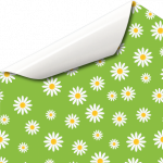 Blumenwiese Gänseblümchen Sommer Wandtattoo